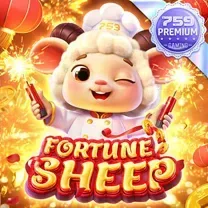 63QQ