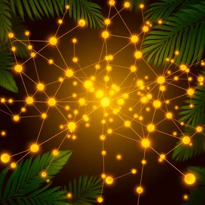 Nn777 Casino Online